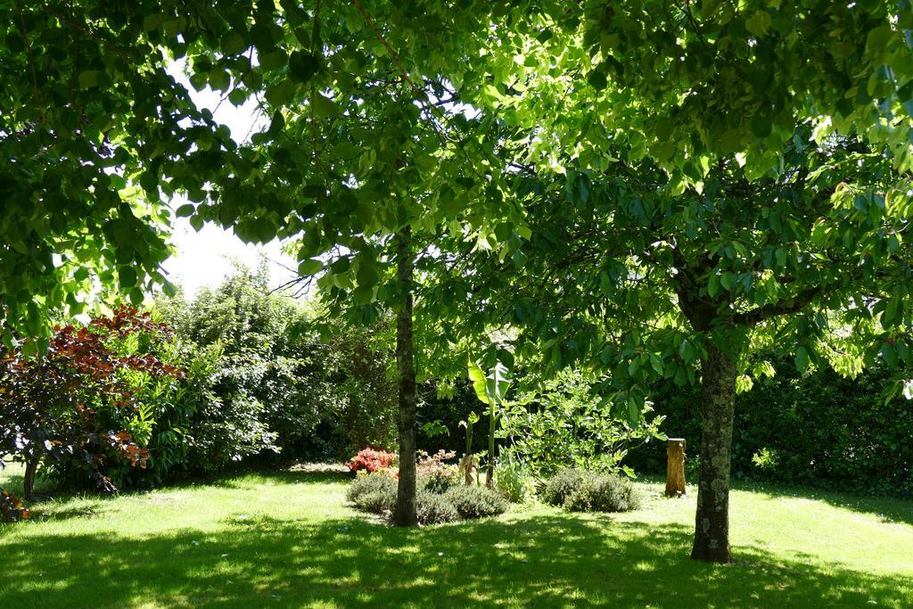 Le Clos Des Perraudieres Cour-Cheverny Εξωτερικό φωτογραφία