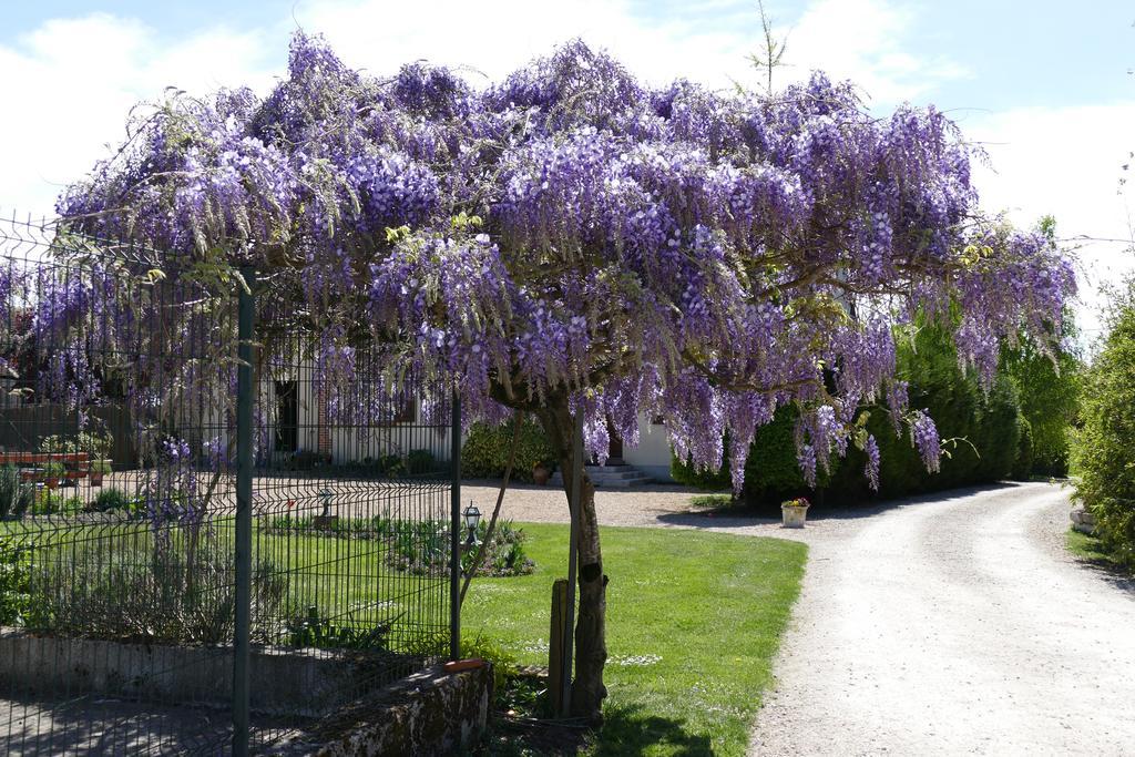 Le Clos Des Perraudieres Cour-Cheverny Εξωτερικό φωτογραφία